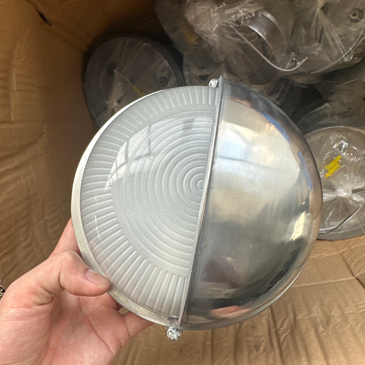 Thoranne Outdoor Wall Light