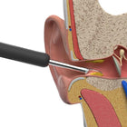 Ear Cleaning Camera Tool