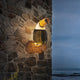Toucan - Right / Warm Light (3000K) / 100V-120V