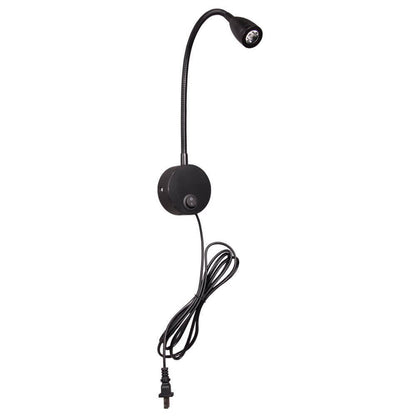 Linnaea Wall Sconce