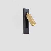 Black + Brass Color
