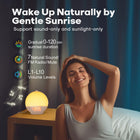 Sunrise Simulation Alarm Clock