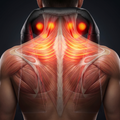 Triple Effect Massager - Neck, Shoulder, Back