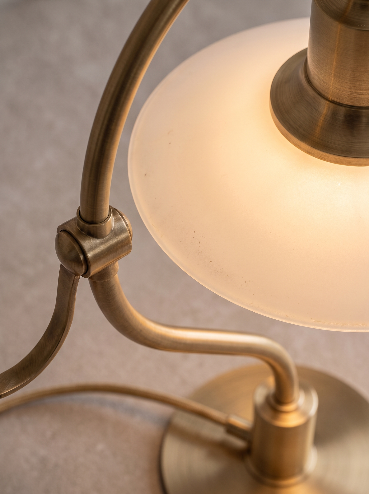 Bellamira close up, Light on Your Terms
