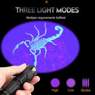 UV Flashlight for Stain Detection